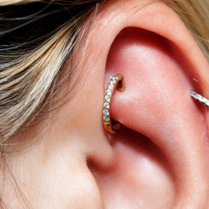 oreja con clicker D