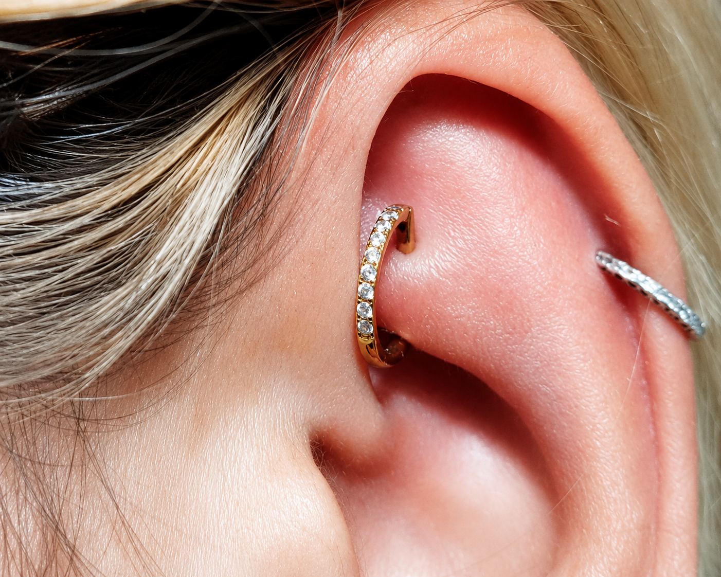 oreja con clicker D